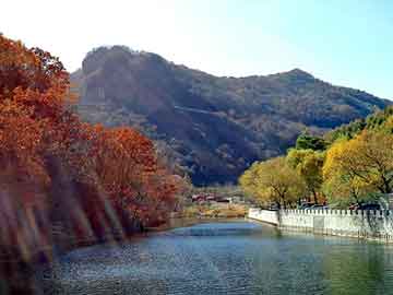 澳门天天开奖免费资料，玉米基地